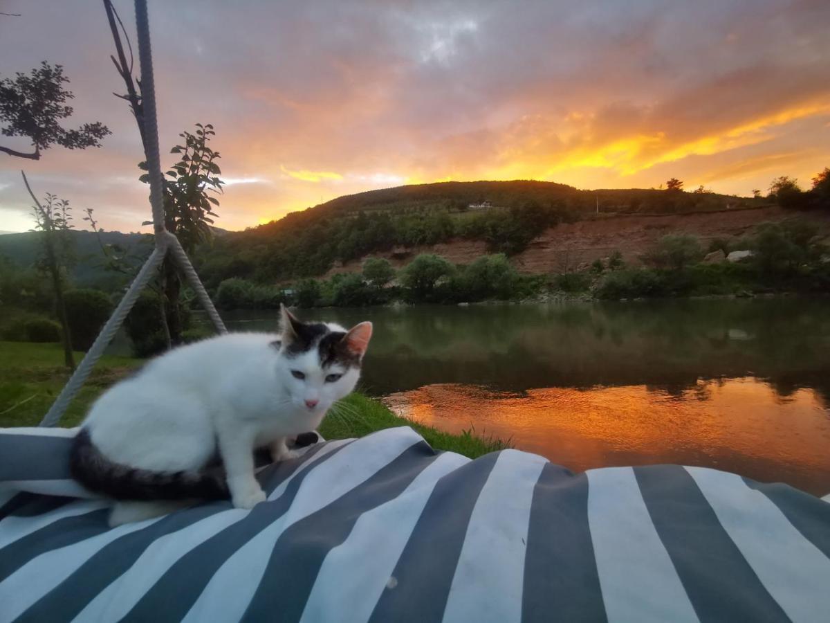 Prenociste Na Drini Foca Bed & Breakfast ภายนอก รูปภาพ