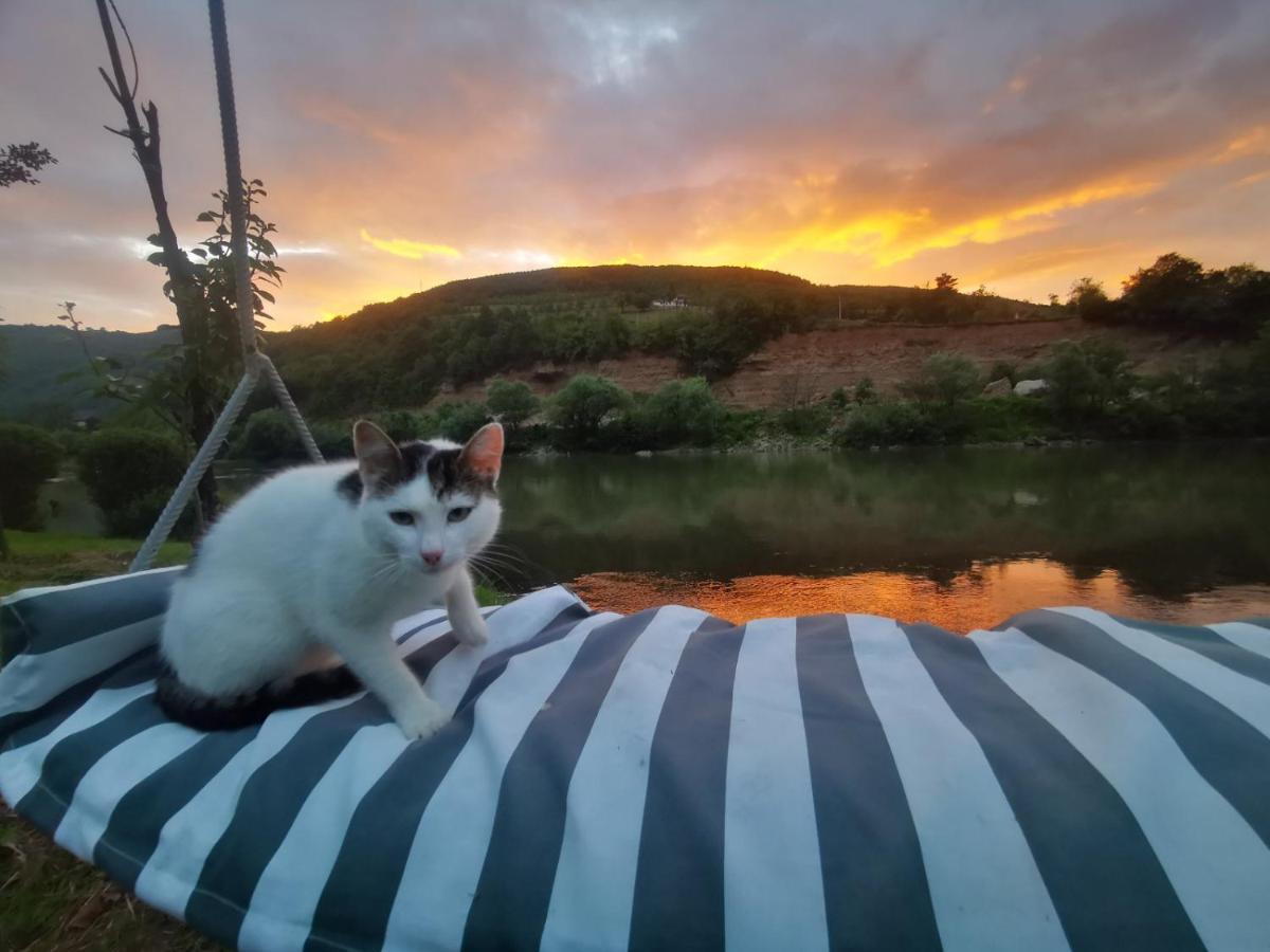 Prenociste Na Drini Foca Bed & Breakfast ภายนอก รูปภาพ